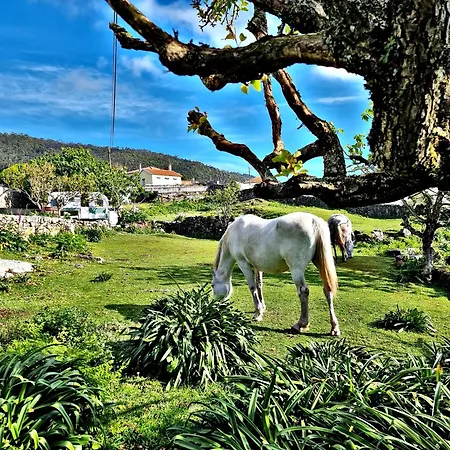 Хостел Casa Do Sardao