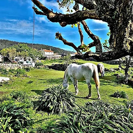 Casa Do Sardao 旅馆 Carreco