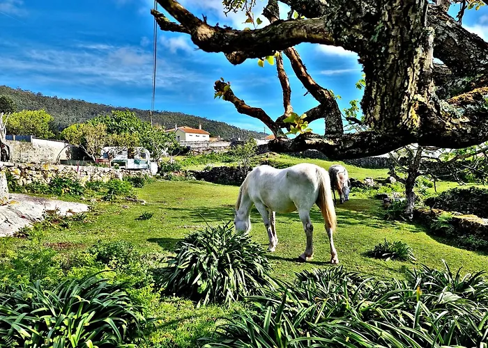Albergue Casa Do Sardão